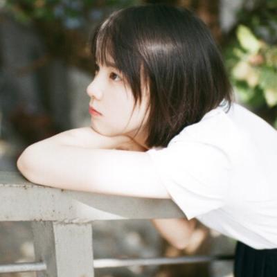 六台宝典资料大全下载app